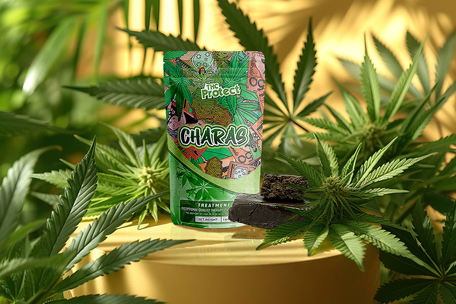 Discover Charas: An exclusive cannabis concentrate