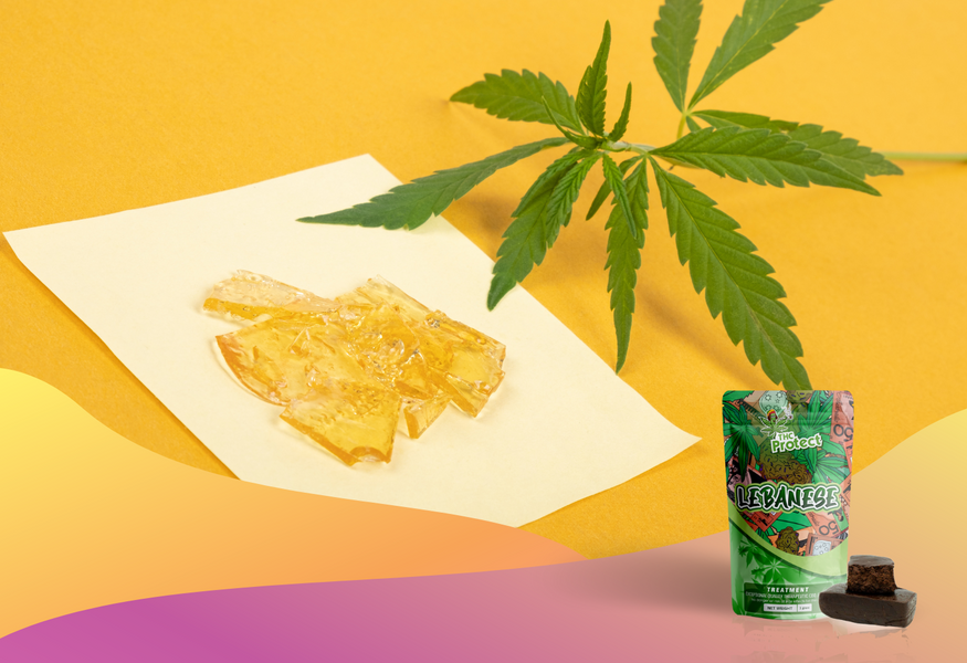 Lebanese CBD resin: Discovery of an exceptional product